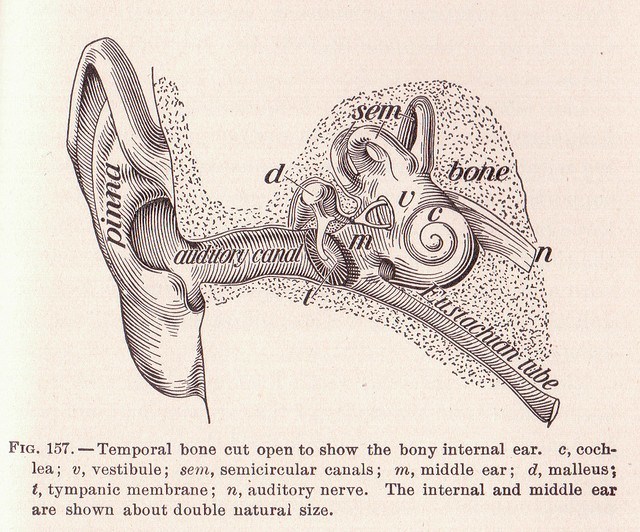 Tinnitus behandling - kom af med tinnitus nu