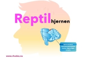 Reptilhjernen krybdyrhjernen reptilkomplekset online kursus