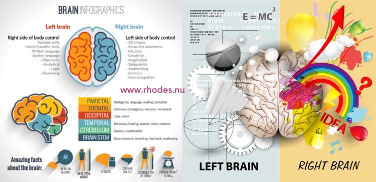 BWRT - BrainWorking Recursive Therapy bearbejder reptilhjernen lynhurtigt