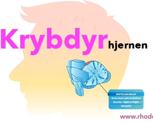 Reptilhjernen. Krybdyrhjernen. Reptilian Complex udfører ordrer i hjernen uden at du ved det